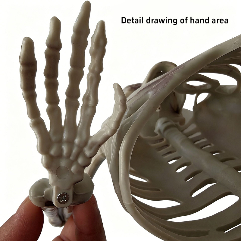 공포스러운 반쪽 해골 장식, 할로윈 해골 뼈 장식, 묘 - Halloween Skeleton Decoration 리뷰 및 가격